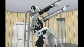 Cow bitch milked