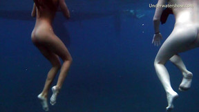 Hot Sea Adventures on Tenerife Underwater