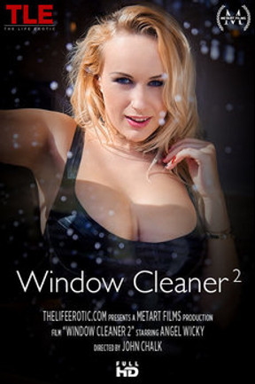 Window Cleaner 2