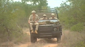 Kruger Park 1996 full movie