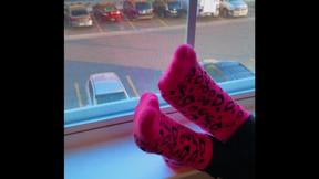 My Socks in the Window